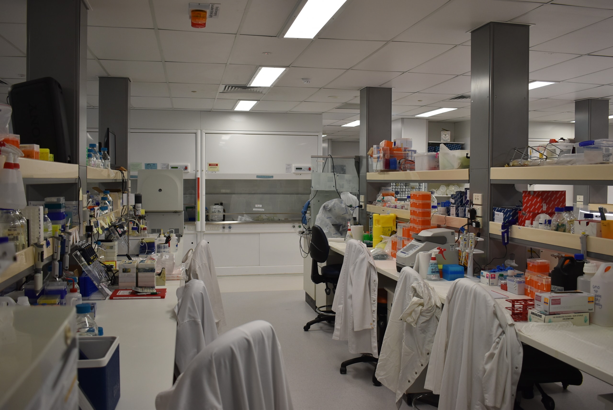 Discovery unlocks potential new arsenal to target leukaemia and other cancers