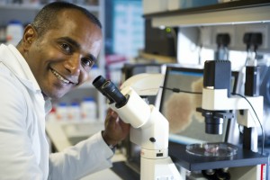 Cancer researchers uncover new insight into MLL translocated leukaemia