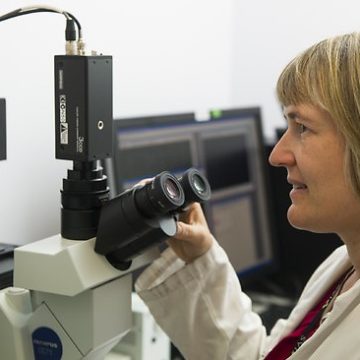 Fitting out St Vincent’s cutting-edge ACRF Rational Drug Discovery Centre