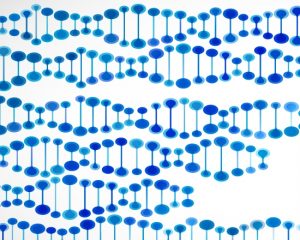 Genetic links for neuroendocrine pancreatic cancer revealed