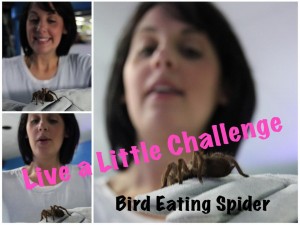 Deb want’s to challenge you to Live A Little!