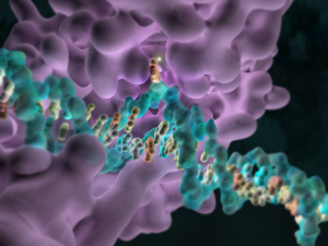 Epigenetics: Cancer researcher’s new tool for precision medicine