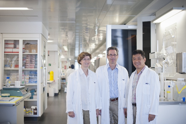 WEHI image Profs Visvader, Lindeman, and Huang