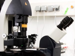 Laser microscope