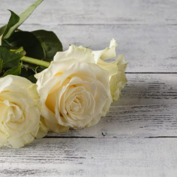 Donate To Cancer Research In Memory Cancer Charity Donations Acrf