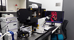 ACRF Telomere Analysis Centre