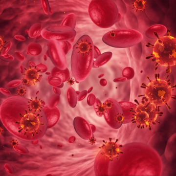 What is Blood Cancer?